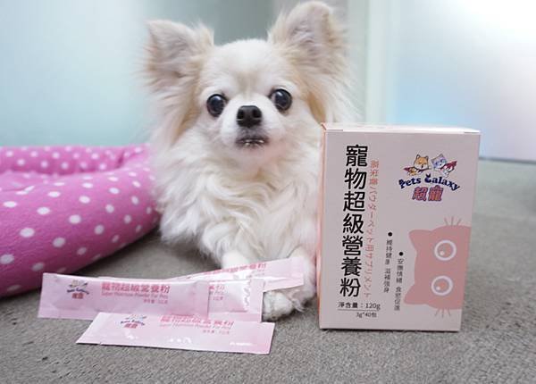 【喵星人主食推薦】健康飲食=幸福關鍵 !  給毛孩全方位的營