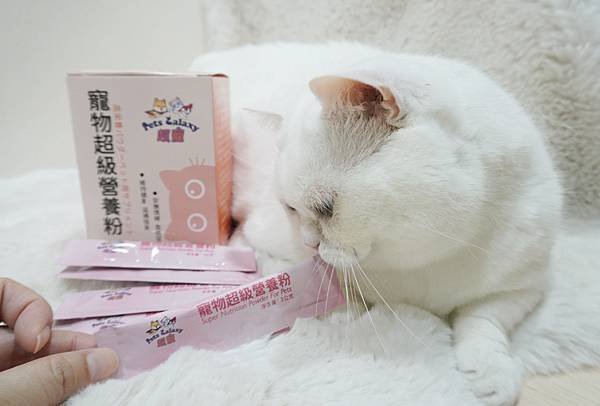 【喵星人主食推薦】健康飲食=幸福關鍵 !  給毛孩全方位的營