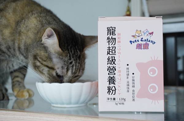 【喵星人主食推薦】健康飲食=幸福關鍵 !  給毛孩全方位的營