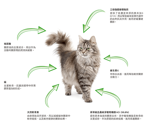product-yumove-advance-for-cats-formulation