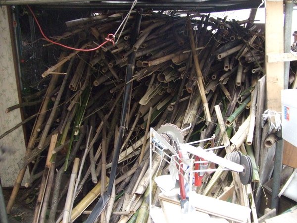 20100209 005.JPG