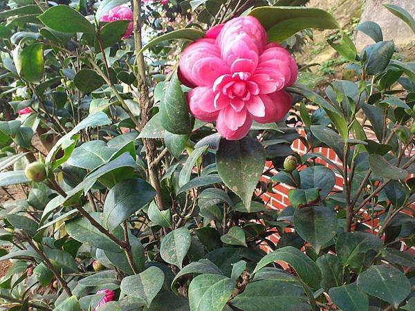 Camera360_20130219143052