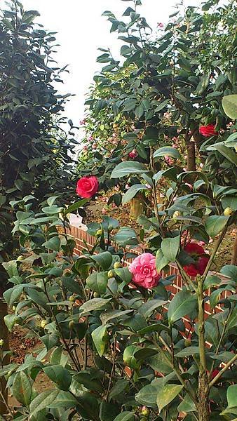 Camera360_20130219143102