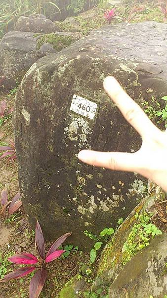 Camera360_20130219143550