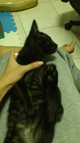 20130119