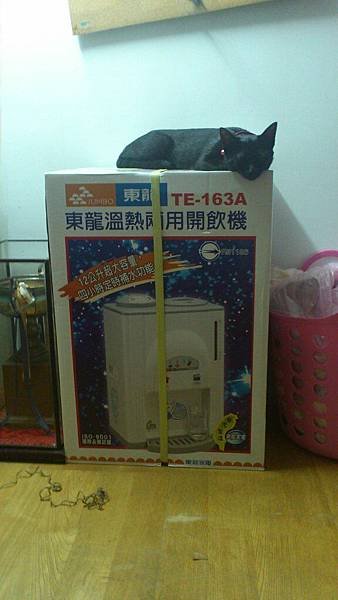 Camera360_20130509151906
