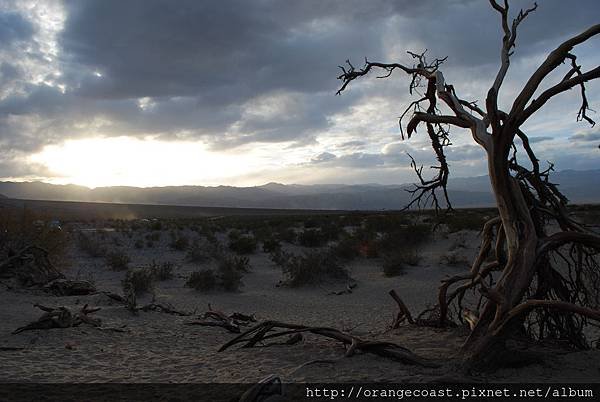 Death Valley 039