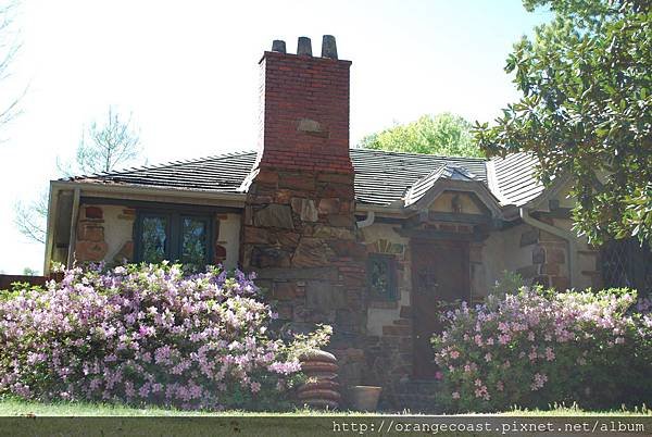 Azalea 2015-04-04 172