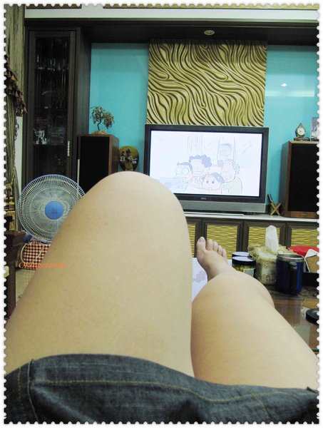 194篇 儀態全失 2010光陰地圖.jpg