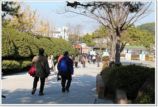 請輸入圖片標題