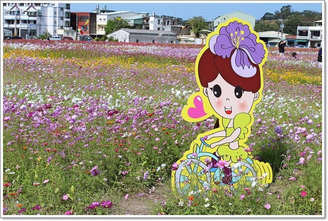 蘆竹花海18.JPG