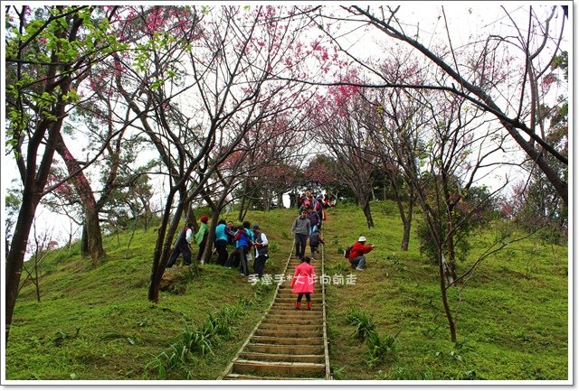 太極嶺6.JPG