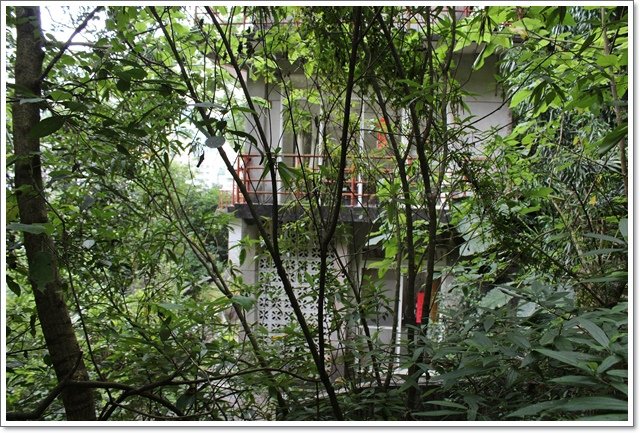 和美山步道26.JPG