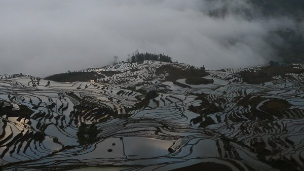 P1010017.JPG