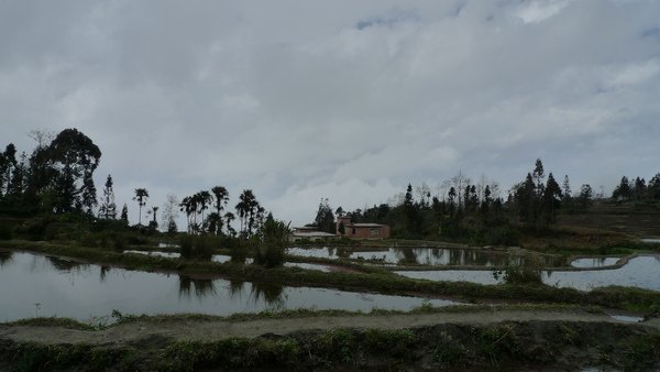 P1010048.JPG