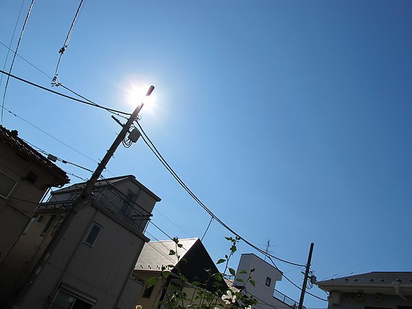 IMG_0646.JPG