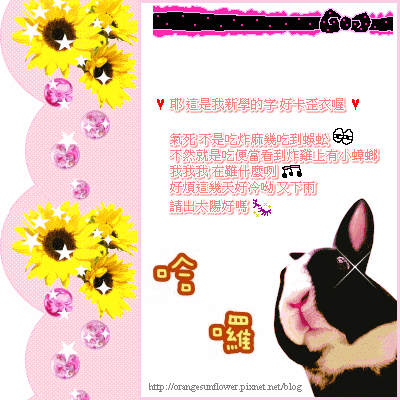 orangesunflower勿右鍵.gif