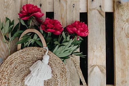 kaboompics_Blooming red peonies.jpg