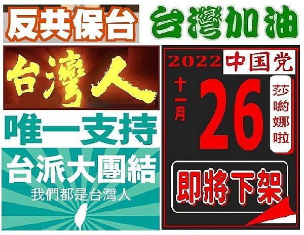 墨台論壇 - 用選票下架國民黨！用選票下架民眾黨！