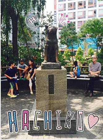 HACHIKO