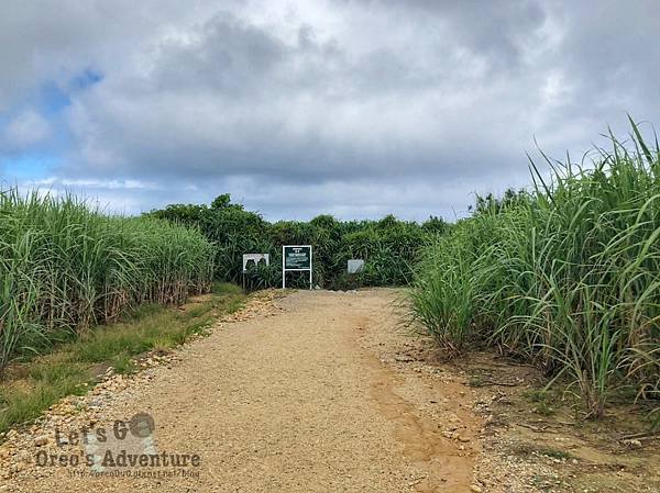 青之洞窟屋浮潛,青之洞窟屋潛水,沖繩浮潛,沖繩潛水,沖繩青之洞窟屋