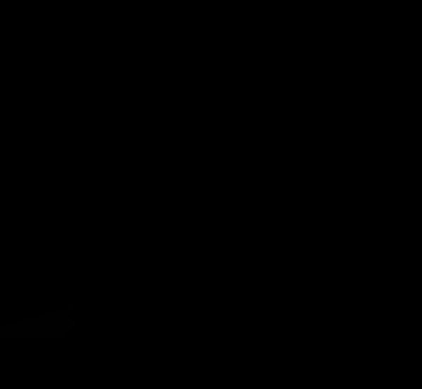 118.jpg