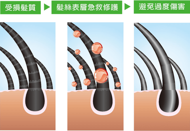 矽靈保護髮絲