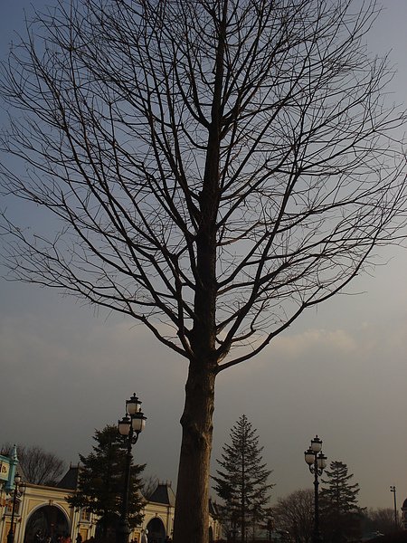 DSC02324.JPG