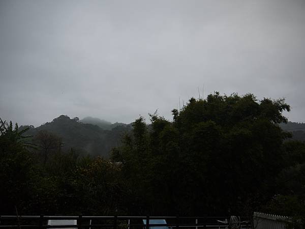 P1030158.JPG