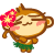 猴子跳夏威夷