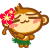 猴子跳夏威夷