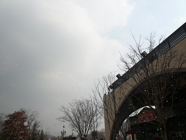 P1090130.JPG