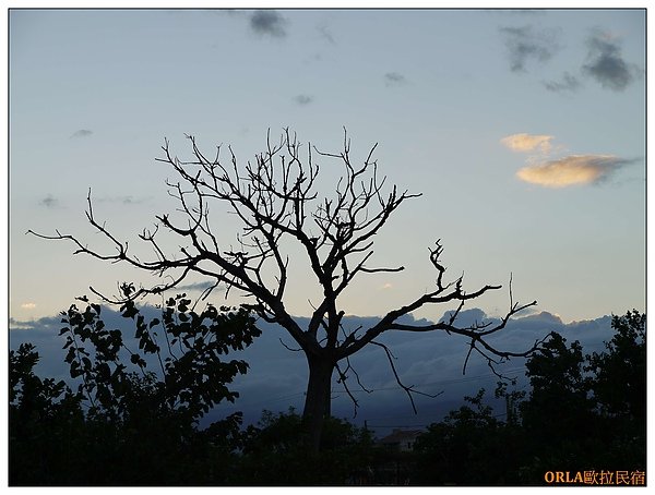 百雲圖6.jpg