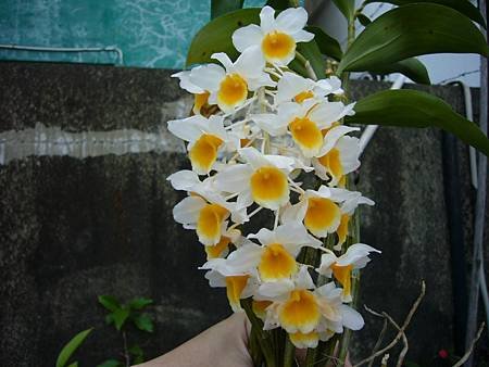 P1020624