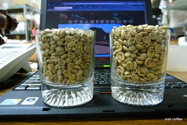 精品生豆與商業生豆的對照