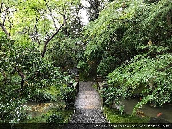 2017秋關西D3.1 八瀬 瑠璃光院  超美絕景！(京都)