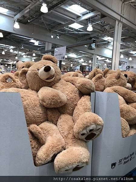 2018茨城東京行D2.4 COSTCO ひたちなか店 ‧ 