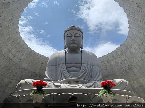 2019夏 北海道知性、感動、歡笑之旅！