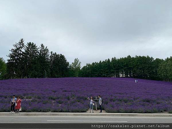 2019夏 北海道知性、感動、歡笑之旅！