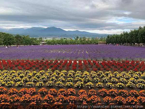 2019夏 北海道知性、感動、歡笑之旅！