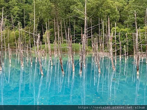 2019夏 北海道知性、感動、歡笑之旅！