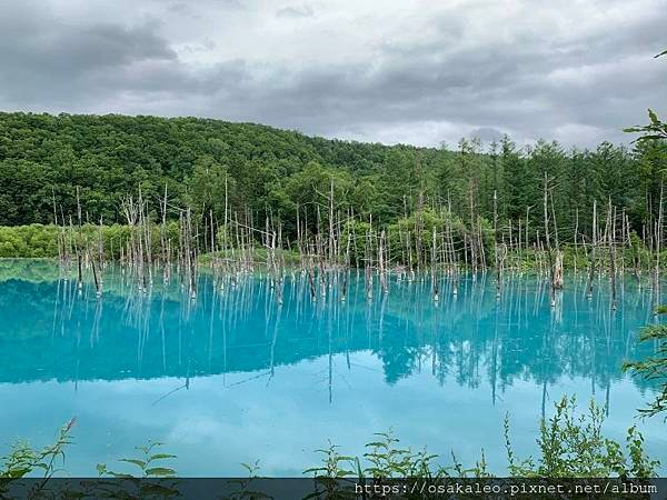 2019夏 北海道知性、感動、歡笑之旅！