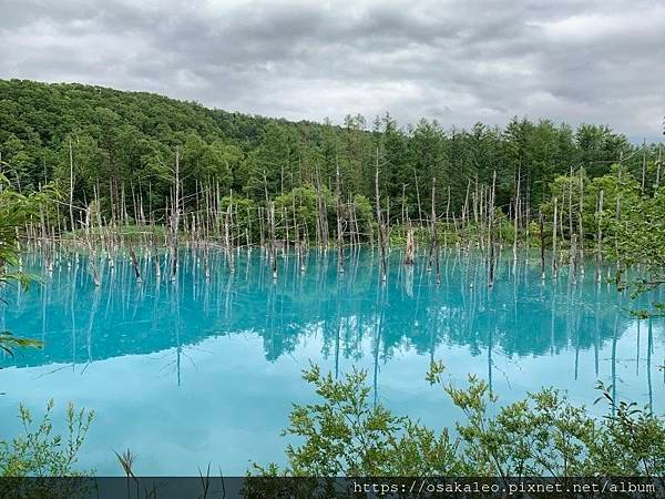 2019夏 北海道知性、感動、歡笑之旅！