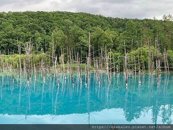 2019夏 北海道知性、感動、歡笑之旅！