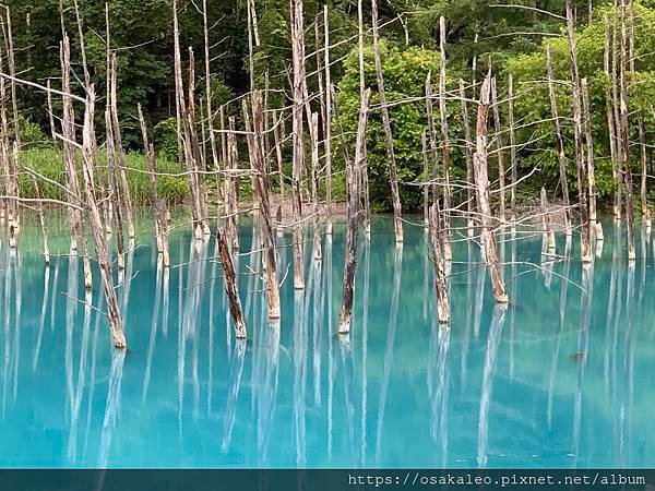 2019夏 北海道知性、感動、歡笑之旅！