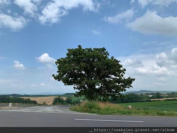 2019夏 北海道知性、感動、歡笑之旅！