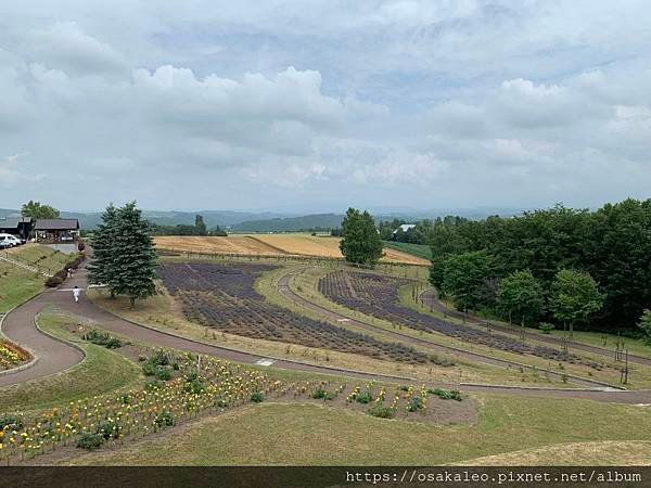 2019夏 北海道知性、感動、歡笑之旅！