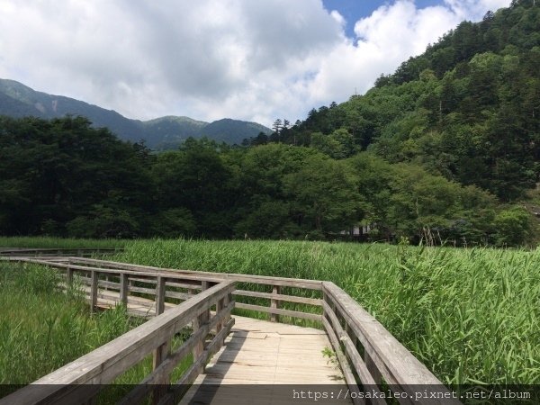 14關東D6.1 日光 二荒山神社中宮 湯元溫泉 奧日光濕原