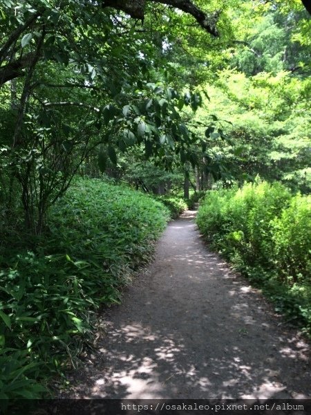 14關東D6.1 日光 二荒山神社中宮 湯元溫泉 奧日光濕原