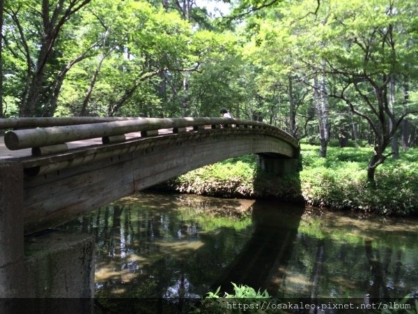 14關東D6.1 日光 二荒山神社中宮 湯元溫泉 奧日光濕原